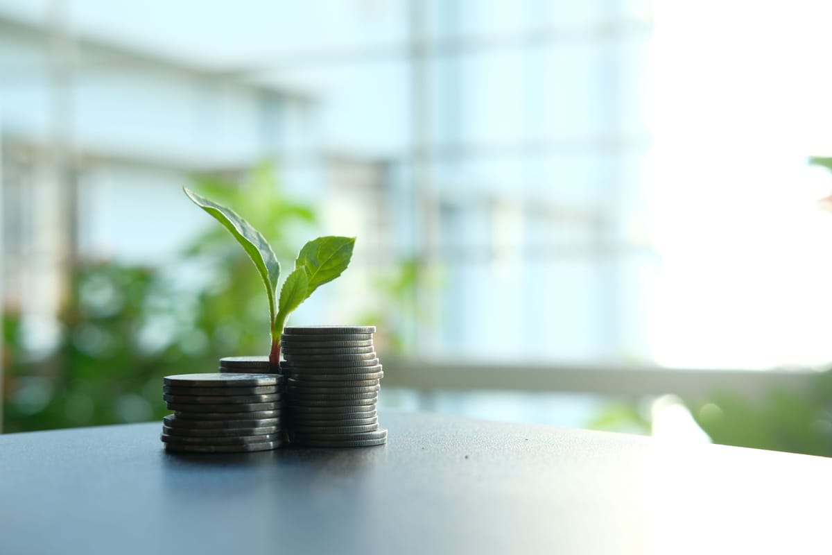Duurzaam beleggen in 5 stappen: rendement én impact