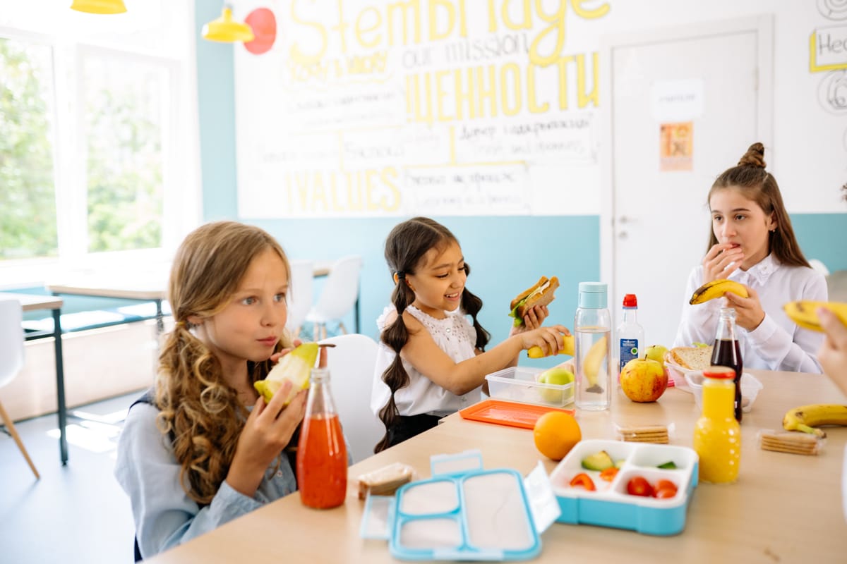 Goedkope en gezonde lunchbox voor kinderen zonder verspilling