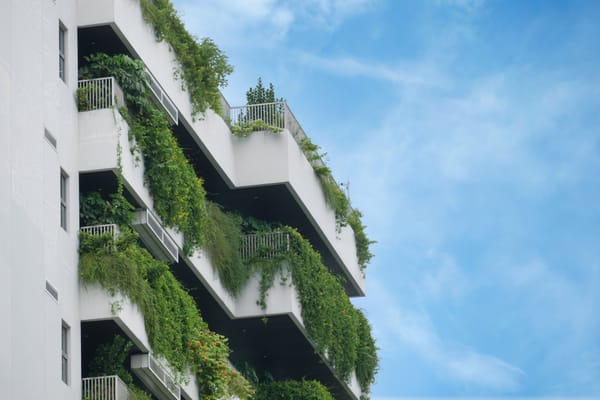 Groen dak in 2026: kosten, subsidie en echte energiebesparing