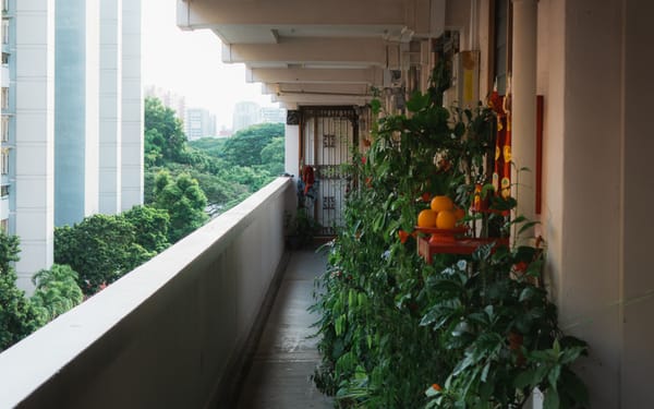 Zelf groenten kweken op een balkon: zo begin je slim