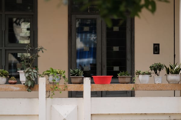 Zo kweek je zelf groenten op een klein stadsbalkon