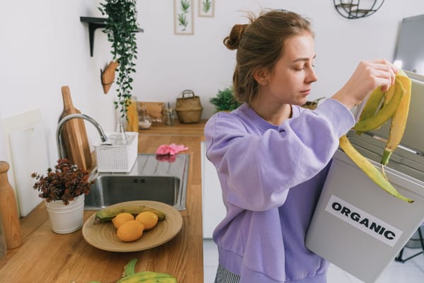 Composteren in een appartement: 4 methoden zonder tuin