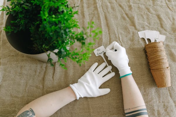 Zo herken en ontmasker je greenwashing als kritische consument