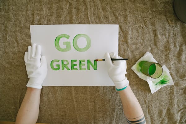 Duurzame verf en behang kiezen: zo doe je het slim