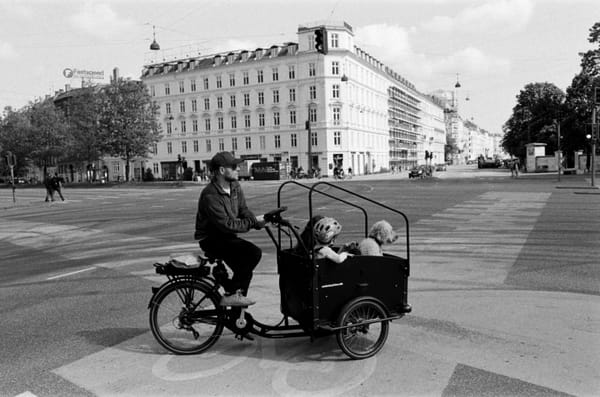 De 5 beste bakfietsen voor gezinnen in 2026