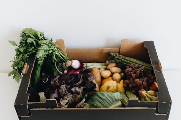 Groente- en fruitkist: wanneer het écht goedkoper is dan de supermarkt