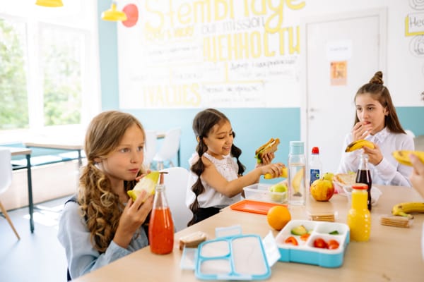 Goedkope en gezonde lunchbox voor kinderen zonder verspilling
